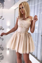 A-Line Sheer Neck Cap Sleeves Open Back Short Homecoming Dress with Appliques